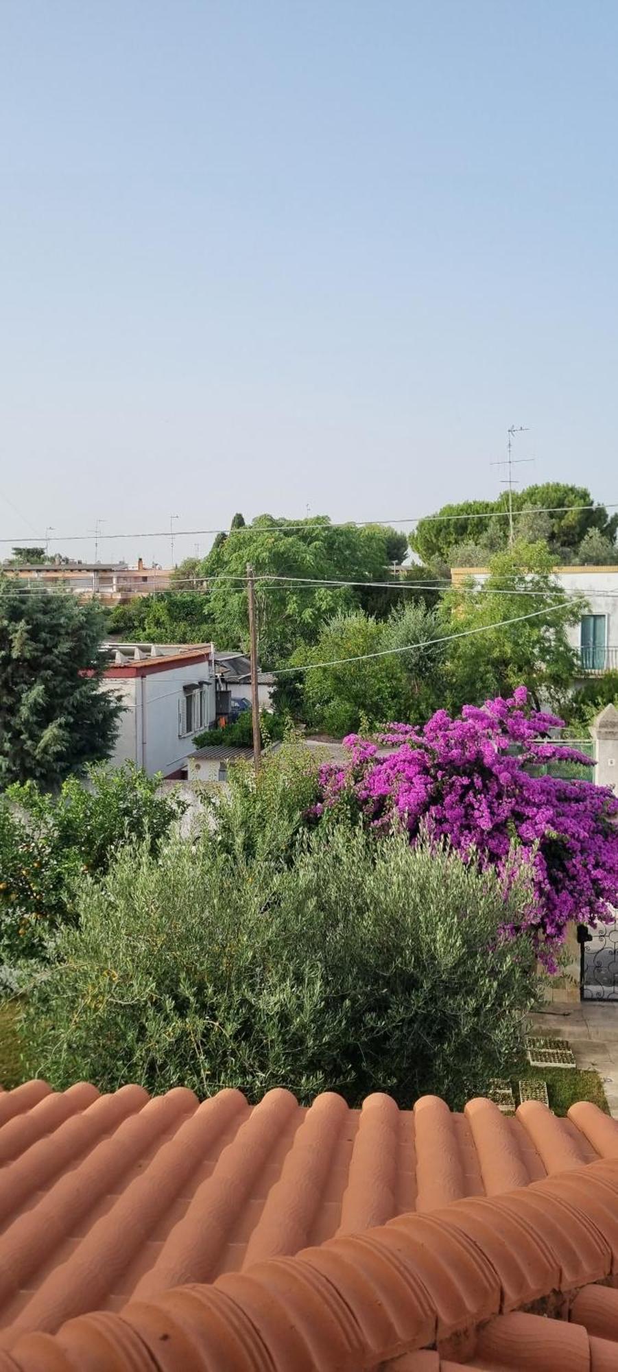 Villa Guajira Bari Zewnętrze zdjęcie