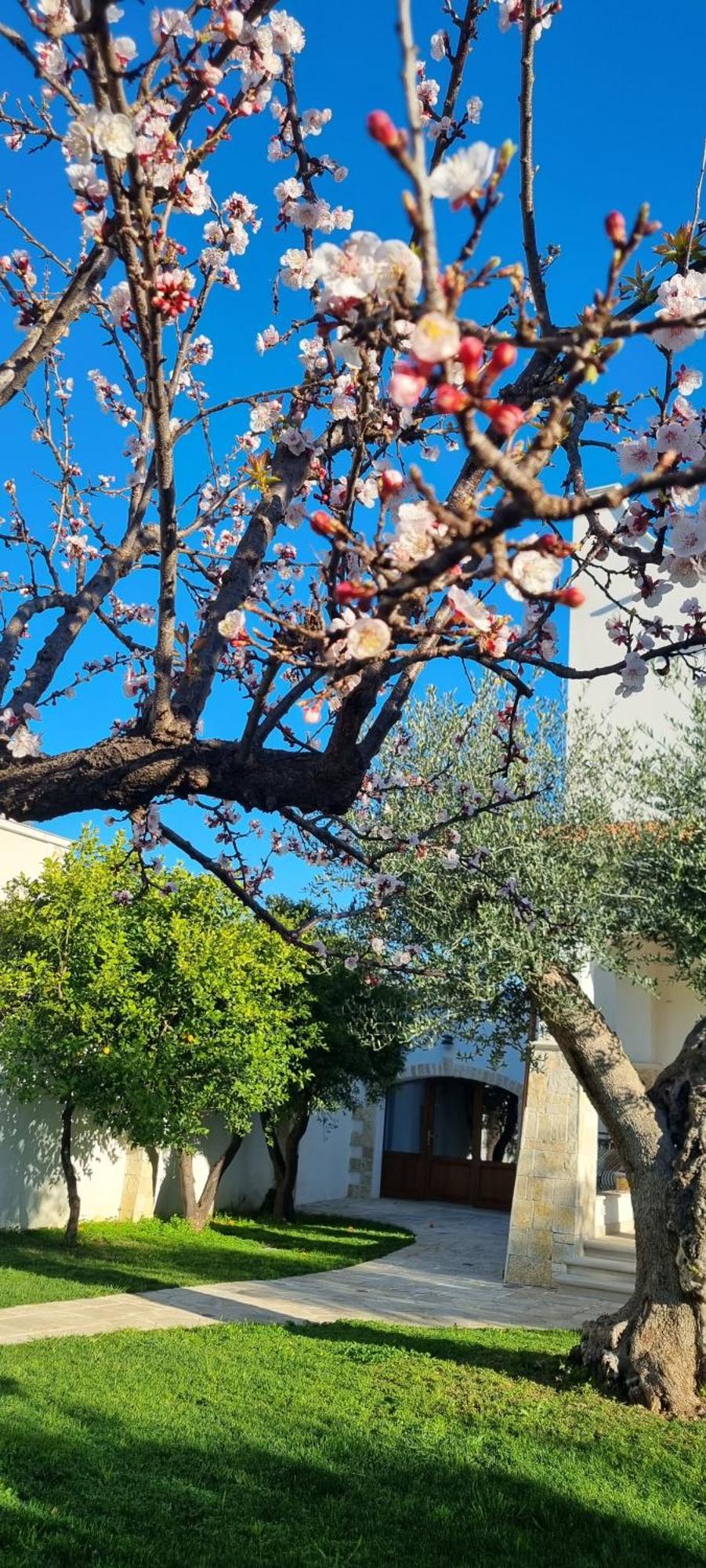 Villa Guajira Bari Zewnętrze zdjęcie