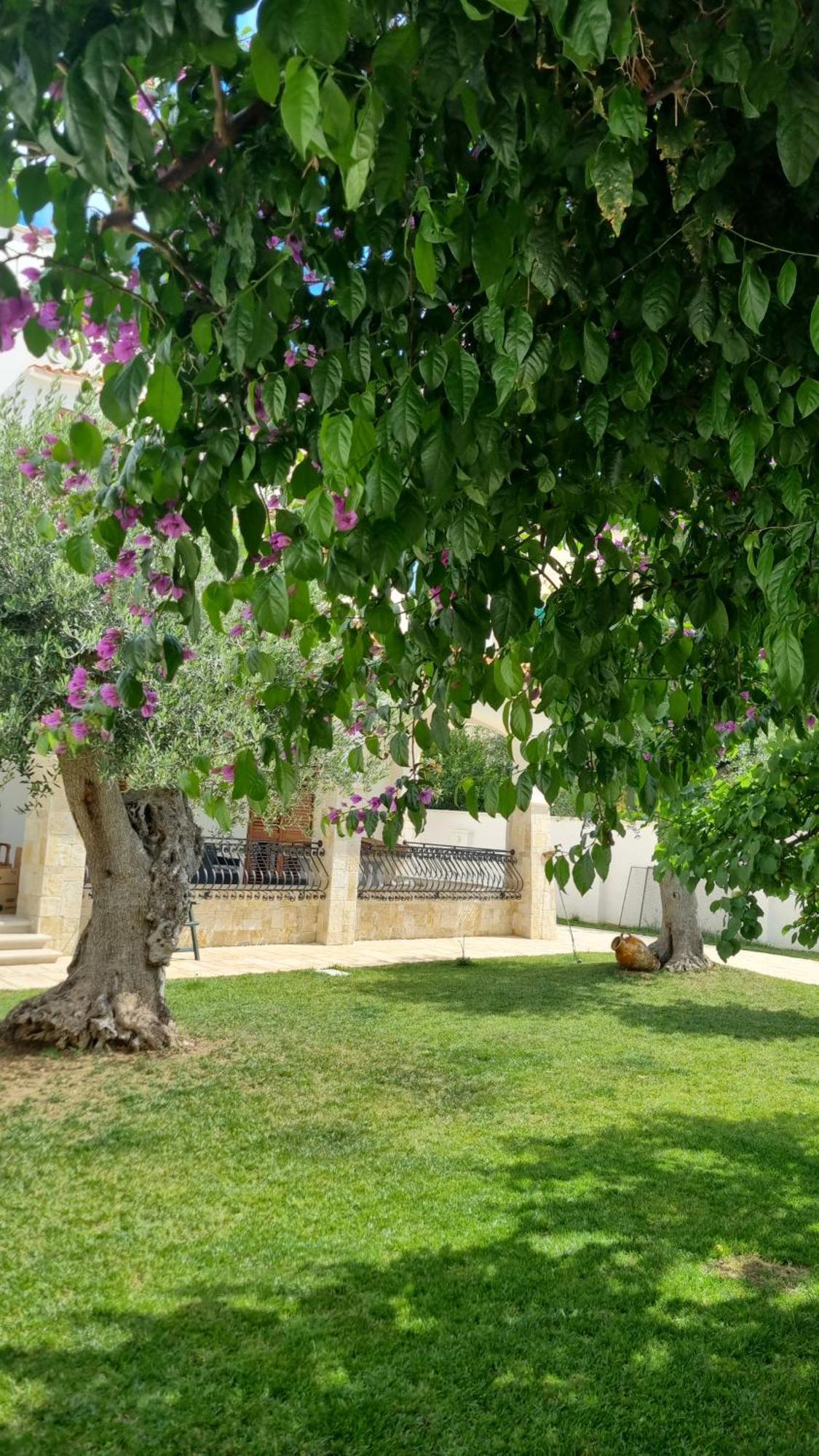 Villa Guajira Bari Zewnętrze zdjęcie
