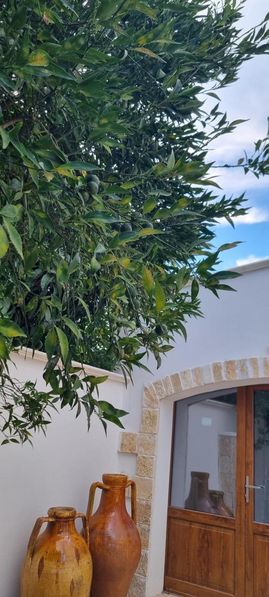 Villa Guajira Bari Zewnętrze zdjęcie