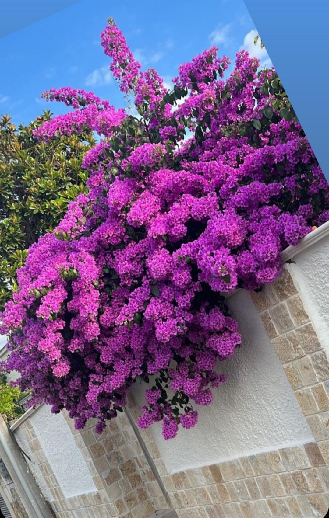 Villa Guajira Bari Zewnętrze zdjęcie